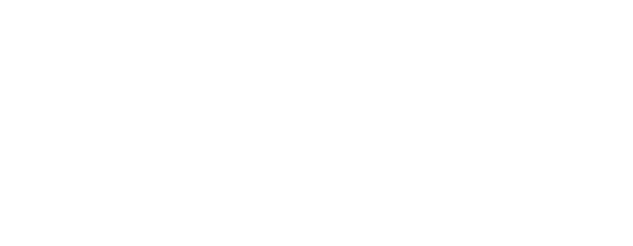 Petronelli Law Group